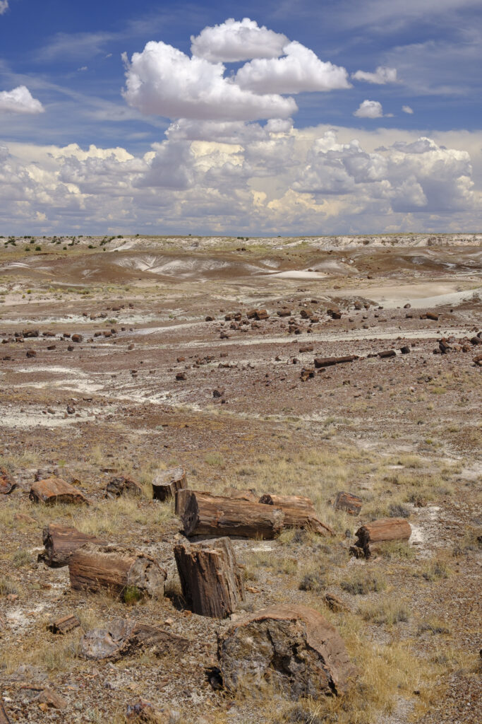 United States of America, Ariziona, Petrified Forest National Park. The surreal, colourful landscape of the Painted Desert in the Petrified Forest National Park.