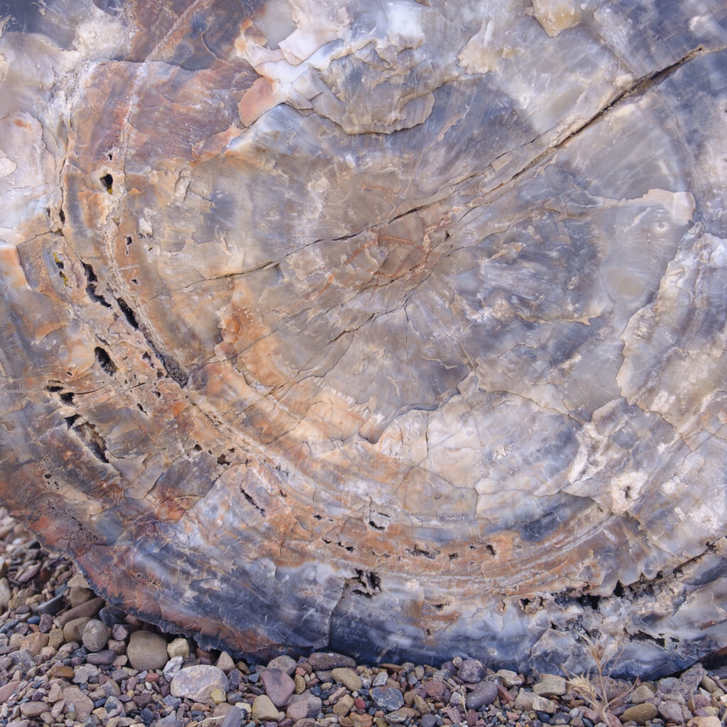United States of America, Ariziona, Petrified Forest National Park. The surreal, colourful landscape of the Painted Desert in the Petrified Forest National Park.