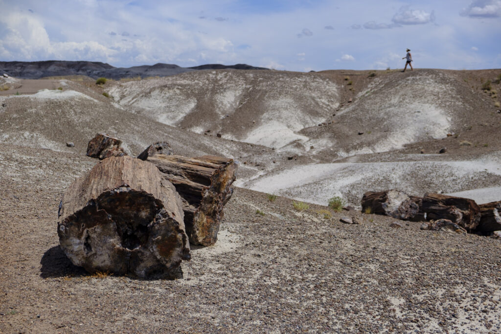 United States of America, Ariziona, Petrified Forest National Park. The surreal, colourful landscape of the Painted Desert in the Petrified Forest National Park.