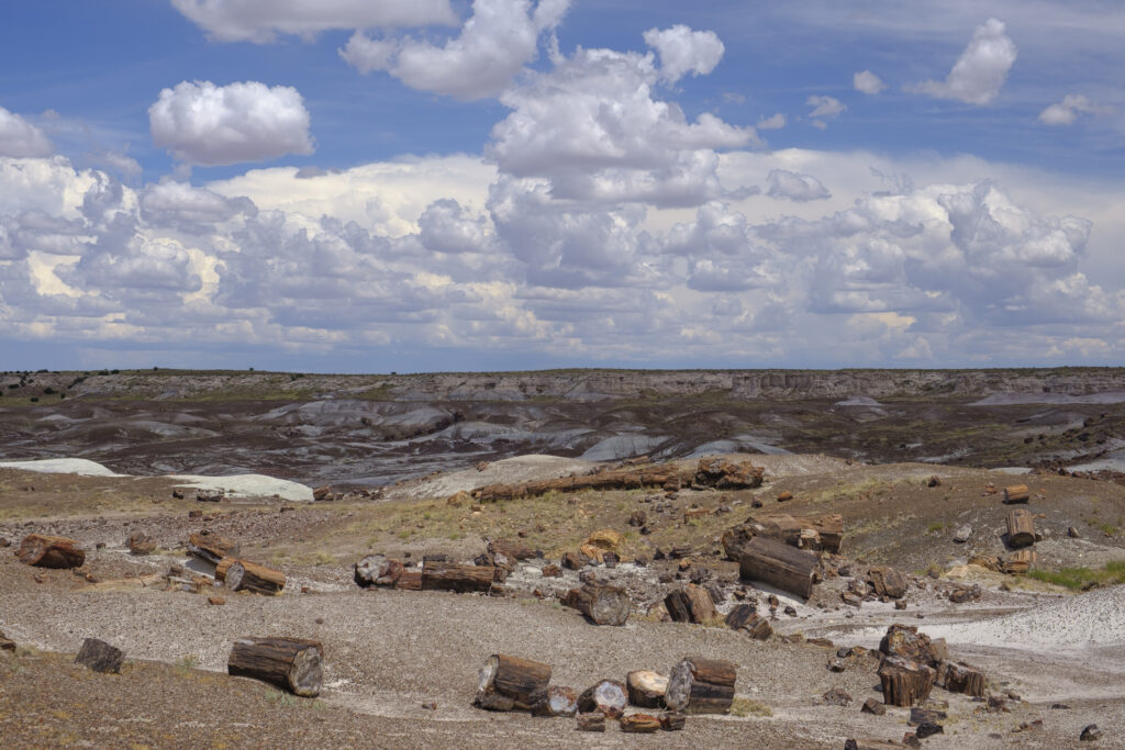 United States of America, Ariziona, Petrified Forest National Park. The surreal, colourful landscape of the Painted Desert in the Petrified Forest National Park.