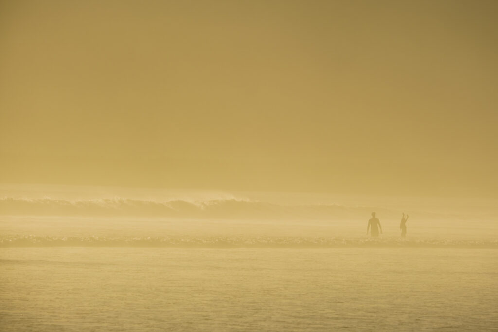 United States of America, California, Del Norte Coast Redwoods State Park. A foggy evening at Crescent Beach in the Del Norte Coast Redwoods State Park.