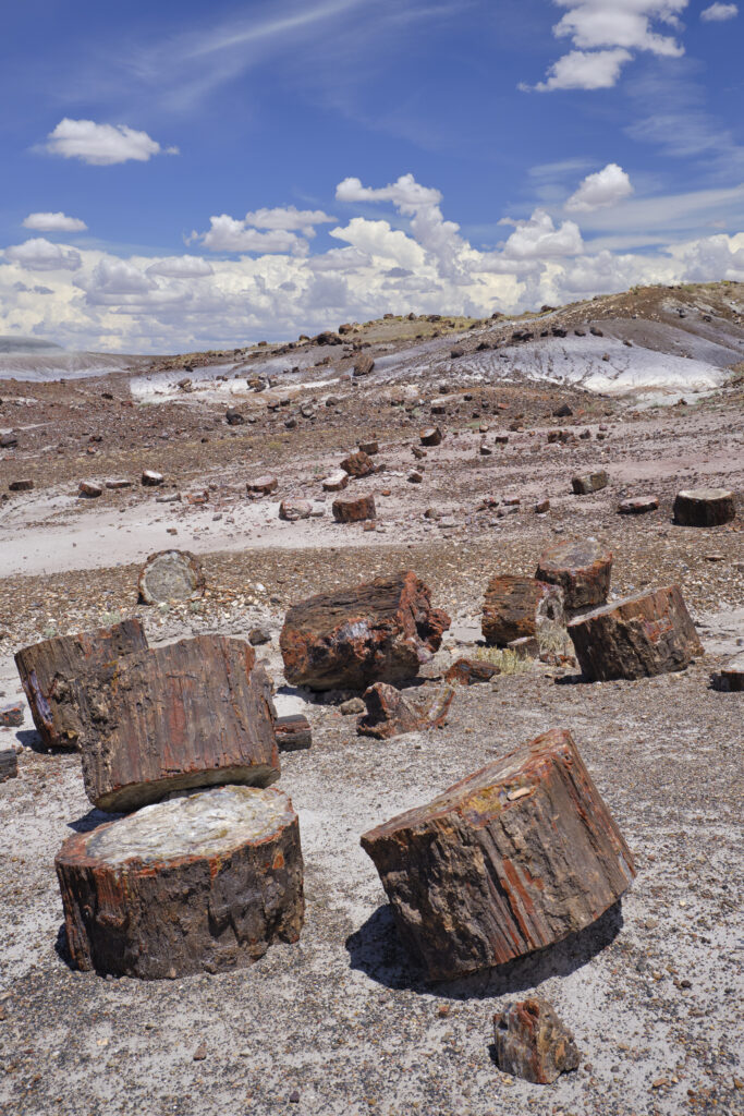 United States of America, Ariziona, Petrified Forest National Park. The surreal, colourful landscape of the Painted Desert in the Petrified Forest National Park.