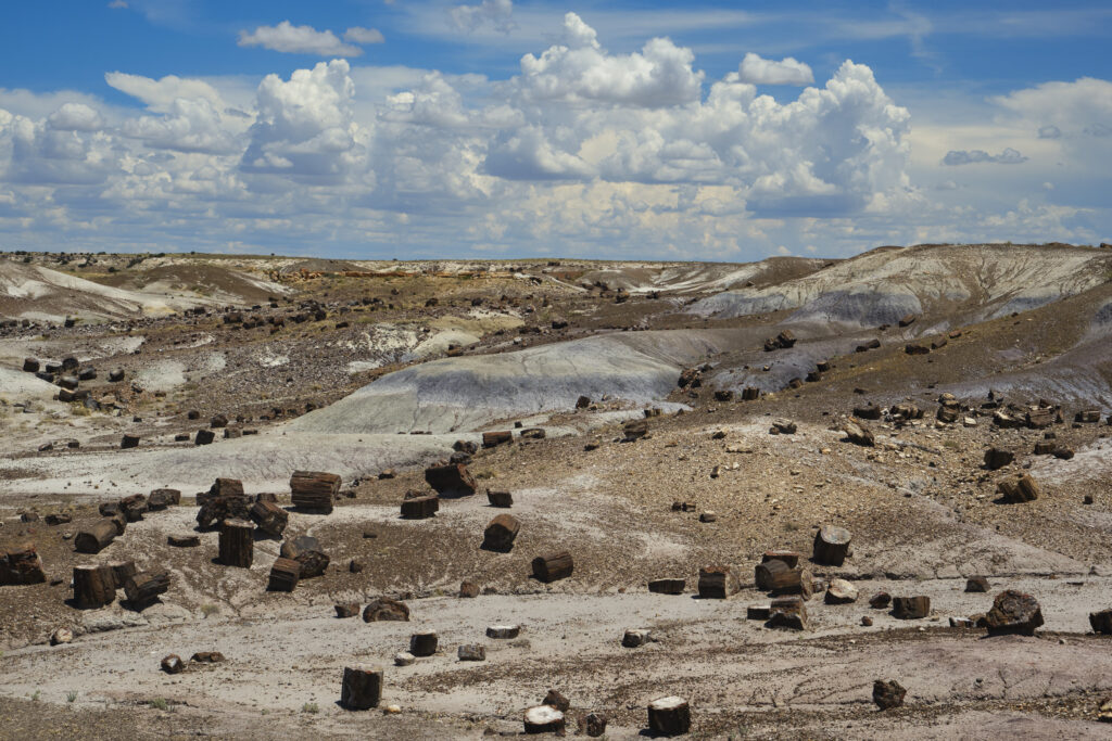 United States of America, Ariziona, Petrified Forest National Park. The surreal, colourful landscape of the Painted Desert in the Petrified Forest National Park.