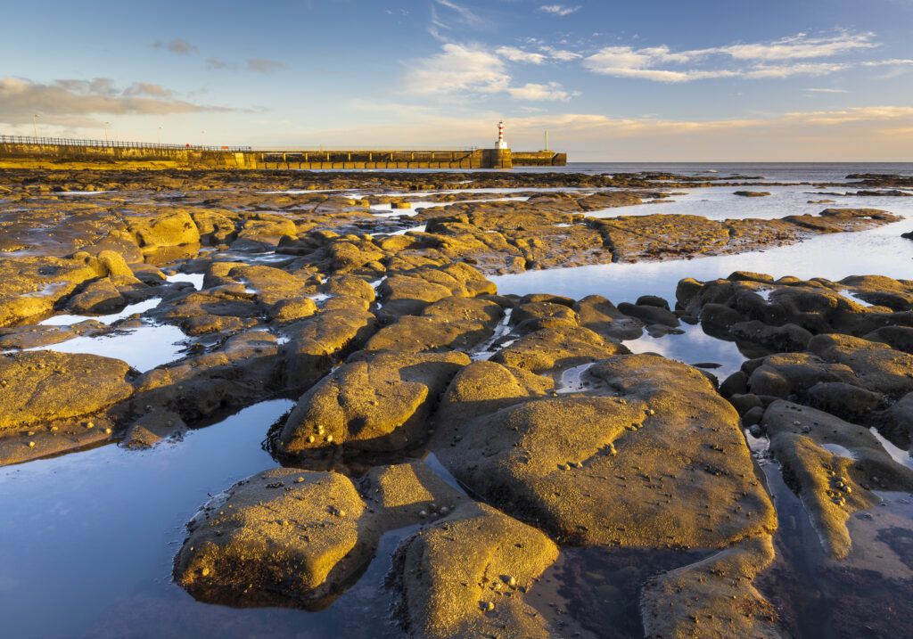 England, Northumberland, Amble. Early morning light illuminates the rocky shoreline near the Amble Harbour Pier.