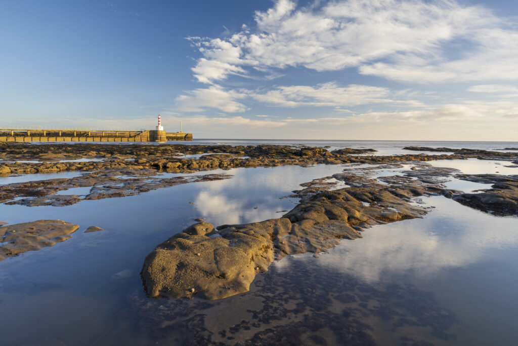 England, Northumberland, Amble. Early morning light illuminates the rocky shoreline near the Amble Harbour Pier.