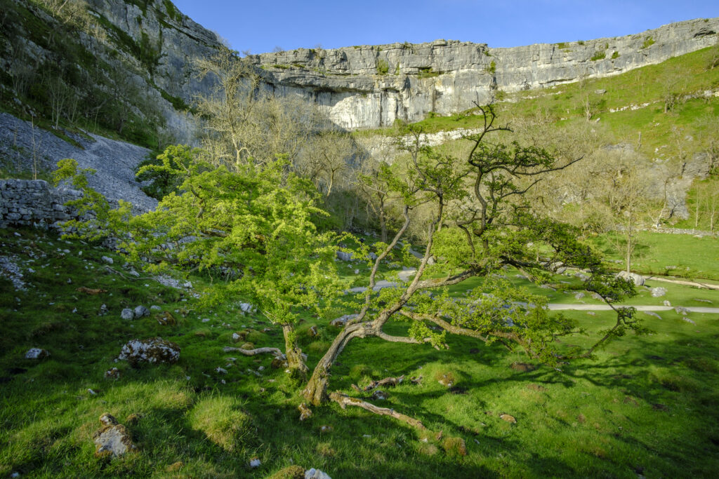 England, Yorkshire, Yorkshire Dales National Park. The Impressive Natural Rock Formations / Geology of the Limestone Features of Malham Cove in the Yorkshire Dales National Park