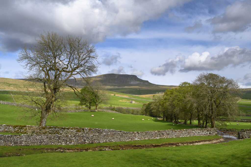 England, North Yorkshire, Yorkshire Dales National Park. The distinctive peak of Pen-y-ghent viewed from farmland near the village of Horton in Ribblesdale.