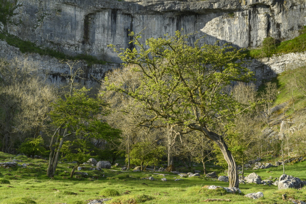 England, Yorkshire, Yorkshire Dales National Park. The Impressive Natural Rock Formations / Geology of the Limestone Features of Malham Cove in the Yorkshire Dales National Park