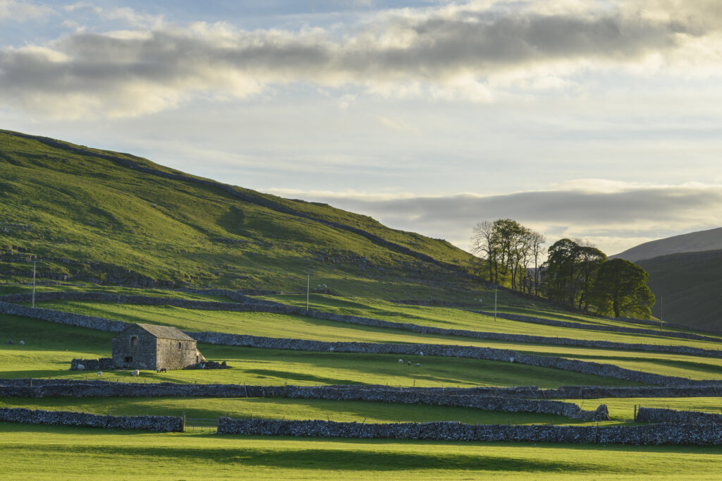 England, North Yorkshire, Yorkshire Dales National Park. Traditional Yorkshire stone barn photographed down Littondale in the Yorkshire Dales.