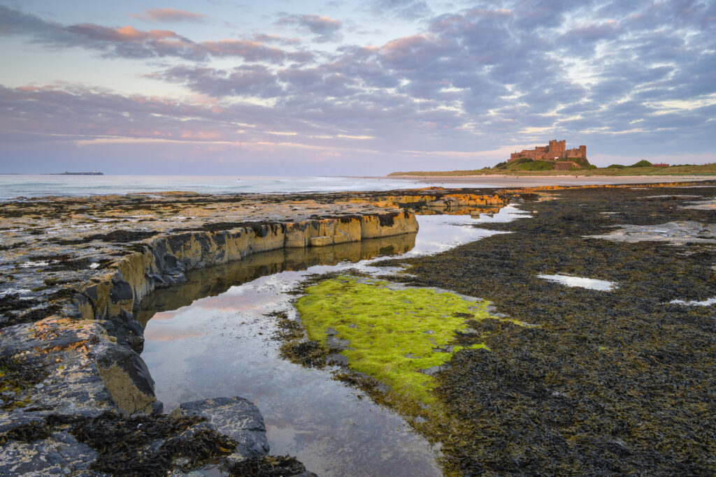 England, Northumberland, Bamburgh. Late evening light on the rocky coastline north of Bamburgh Castle.