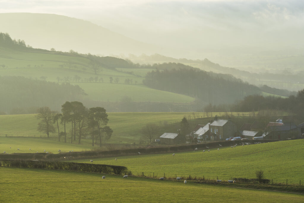 England, North Yorkshire, North York Moors National Park. A misty morning near Newton Under Roseberry in the North York Moors National Park.