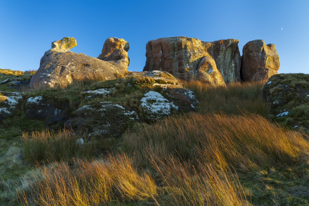 England, Northumberland, Caller Crag & Boulders. Late afternoon light illuminates the sandstone features of Caller Crag & Boulders.