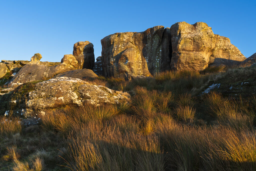 England, Northumberland, Caller Crag & Boulders. Late afternoon light illuminates the sandstone features of Caller Crag & Boulders.