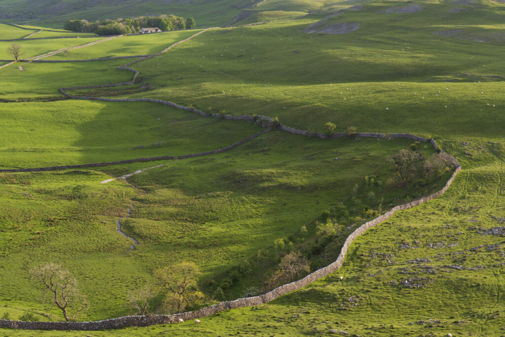 England, North Yorkshire, Yorkshire Dales National Park. Looking down on Crummack Dale and it's traditional dry-stone walls from Moughton Scars.