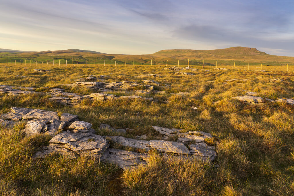 England, North Yorkshire, Yorkshire Dales National Park. Moughton Scars, looking towards the peak of Pen-y-ghent.