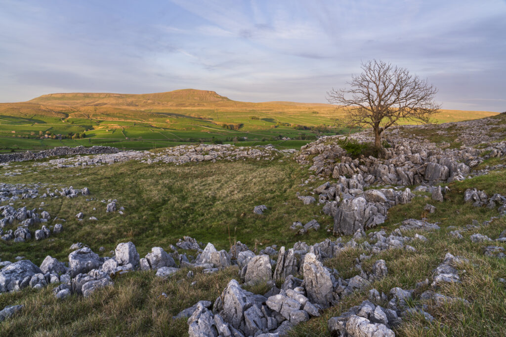 England, North Yorkshire, Yorkshire Dales National Park. Moughton Scars, looking towards the peak of Pen-y-ghent.