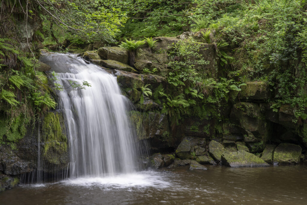 England, North Yorkshire, North York Moors National Park. Thomason Foss, a picturesque waterfall located between the villages of Goathland and Beck Hole.