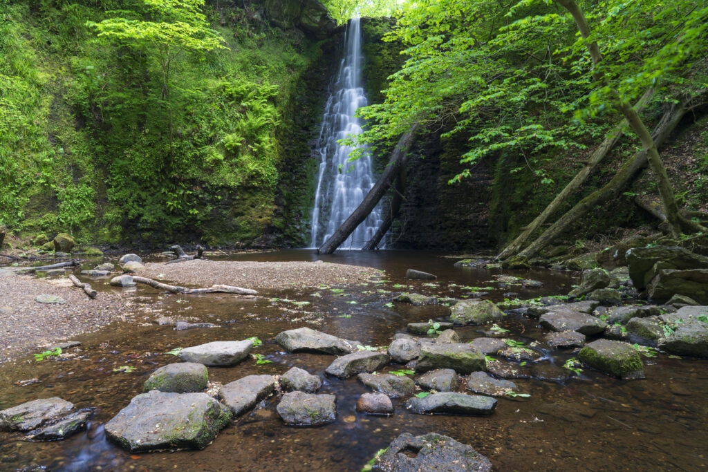 England, North Yorkshire, North York Moors National Park. Falling Foss, a popular waterfall situated in Sneaton Forest in the North York Moors National Park.