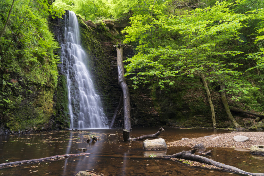England, North Yorkshire, North York Moors National Park. Falling Foss, a popular waterfall situated in Sneaton Forest in the North York Moors National Park.