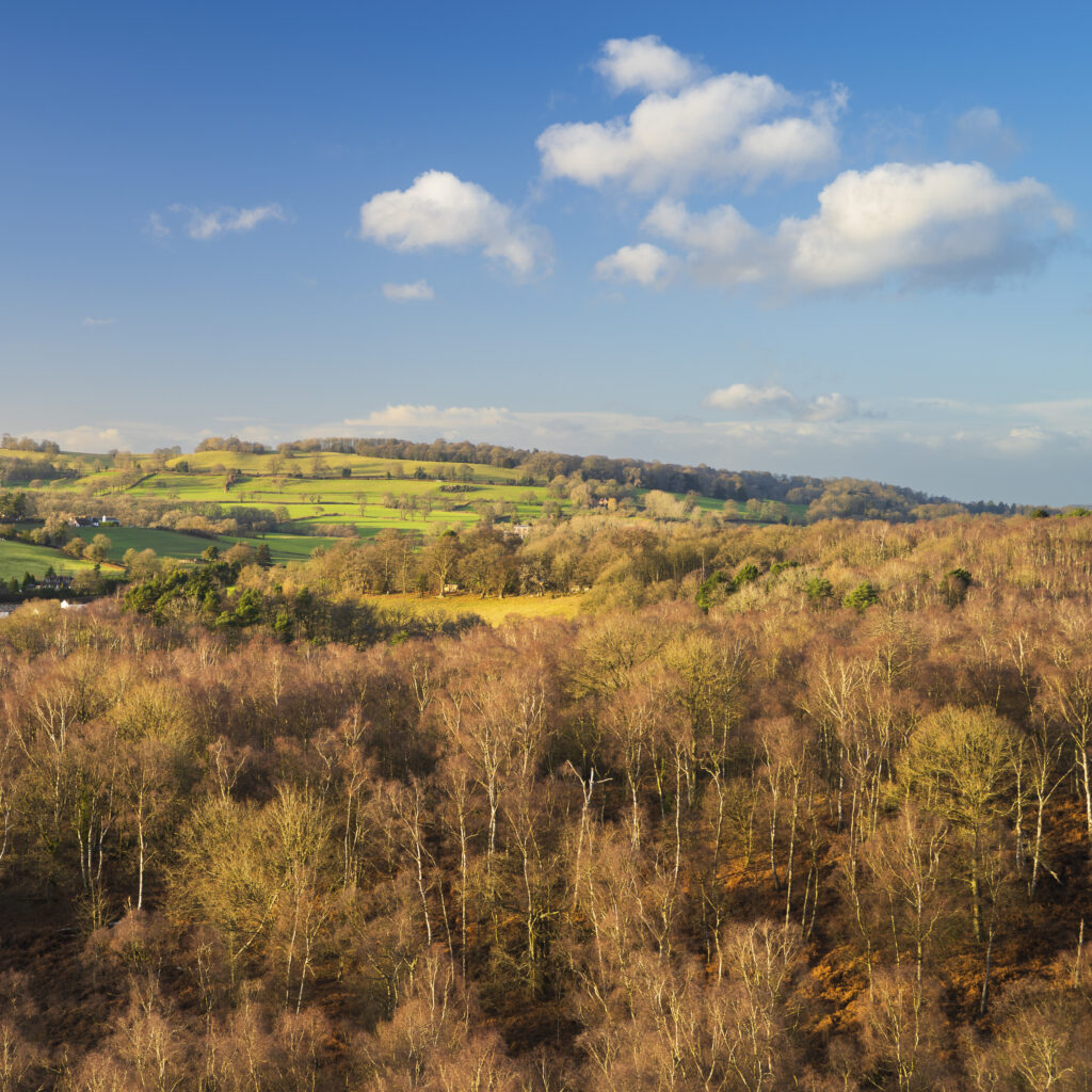 England, West Midlands, Kinver Edge. View from the top of Nannys Rock - a popular viewpoint along Kinver Edge.