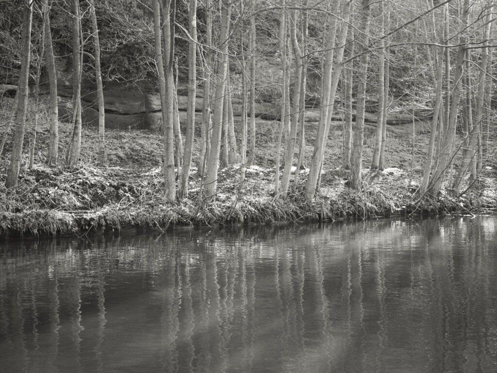 England, West Midlands, Kinver. Riverbank trees reflected on the Staffordshire and Worcestershire Canal near Kinver