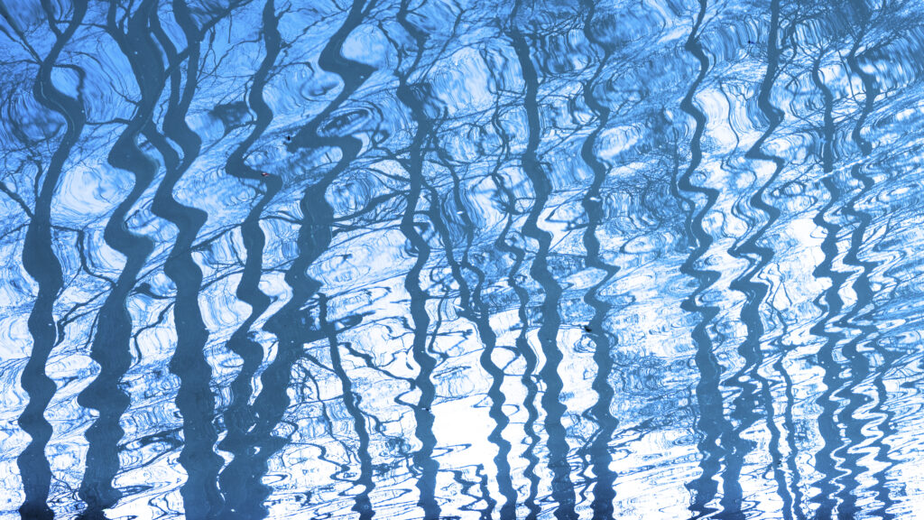 England, West Midlands, Kinver. Riverbank trees reflected on the Staffordshire and Worcestershire Canal near Kinver