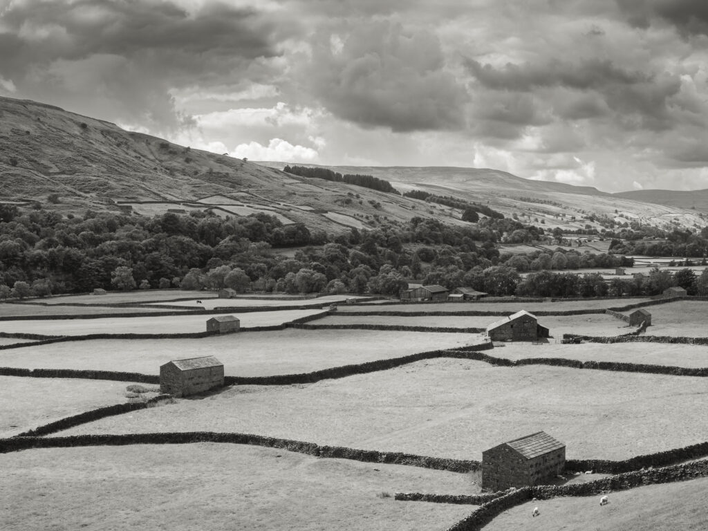England, North Yorkshire, Yorkshire Dales National Park. Traditional Stone barns and dry stone walls near Gunnerside in Swaledale.