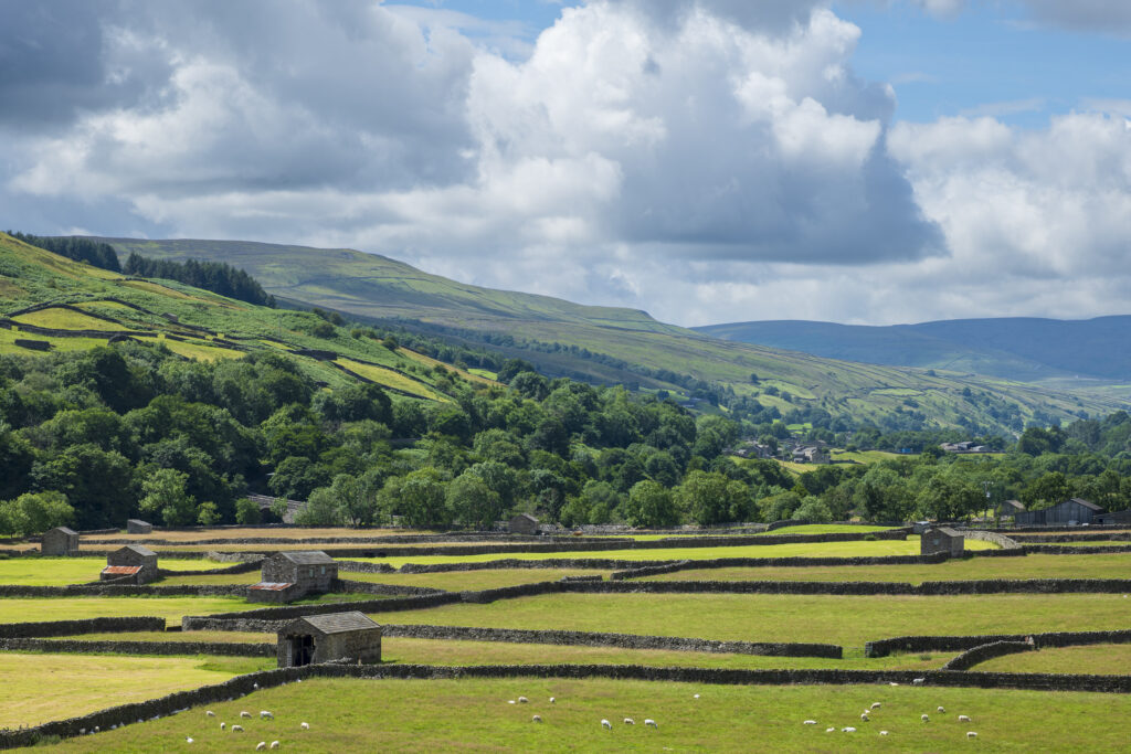 England, North Yorkshire, Yorkshire Dales National Park. Traditional Stone barns and dry stone walls near Gunnerside in Swaledale.