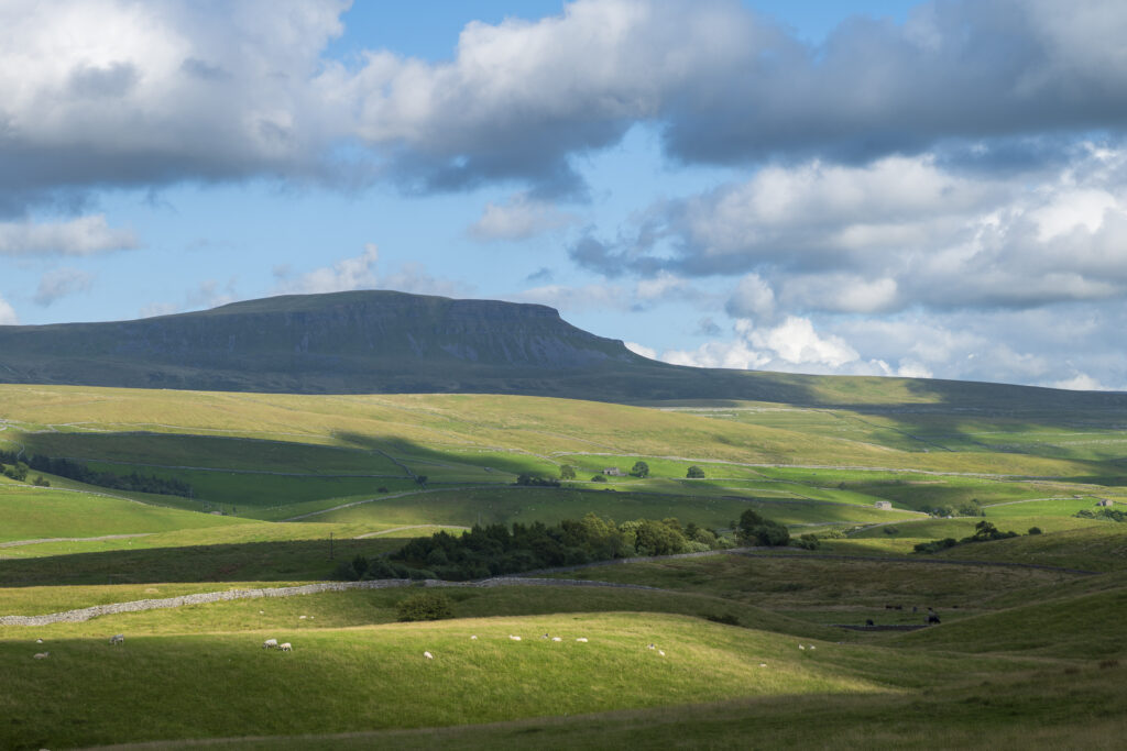 England, North Yorkshire, Yorkshire Dales National Park. The distinctive peak of Pen-y-ghent viewed from farmland near the village of Horton in Ribblesdale.