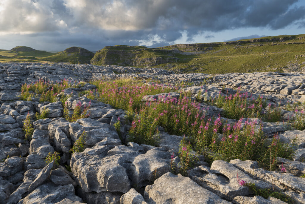England, North Yorkshire, Yorkshire Dales National Park. The Dry Valley of the Watlowes, located high above Malham Tarn.