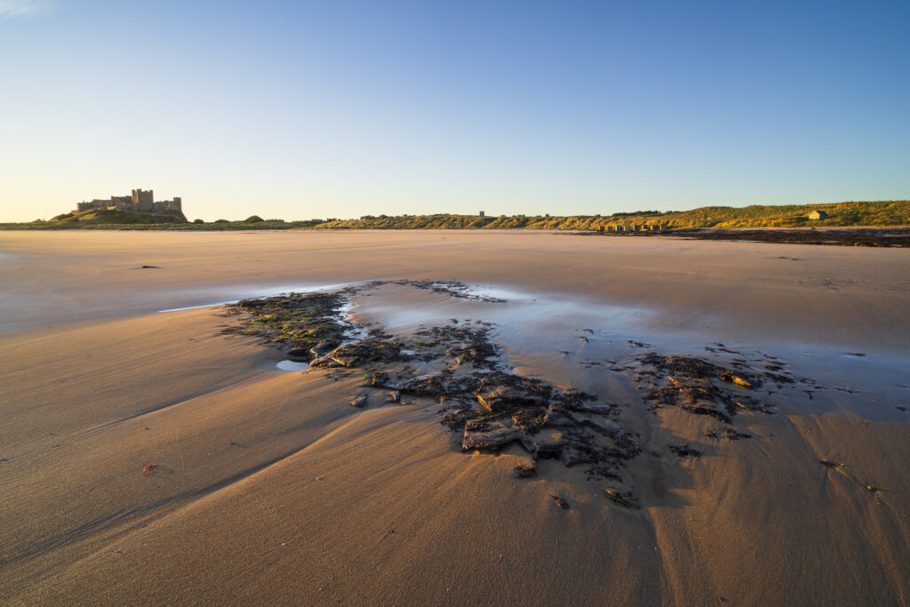 England, Northumberland, Bamburgh. Early morning light on the Northumberland Heritage Coast overlooked by Bamburgh Castle.