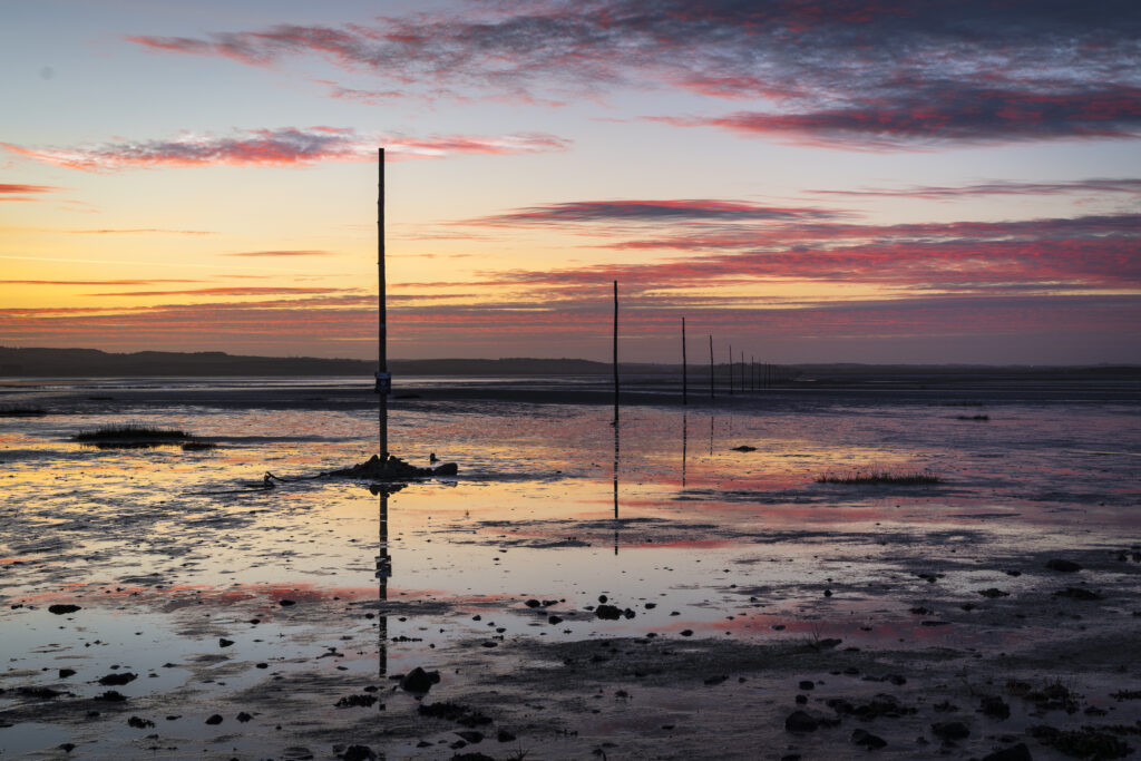 England, Northumberland, Northumberland Heritage Coast. Wooden posts marking the Pilgrim's Causeway linking the Holy Island of Lindisfarne off the Northumberland Coast with the mainland.