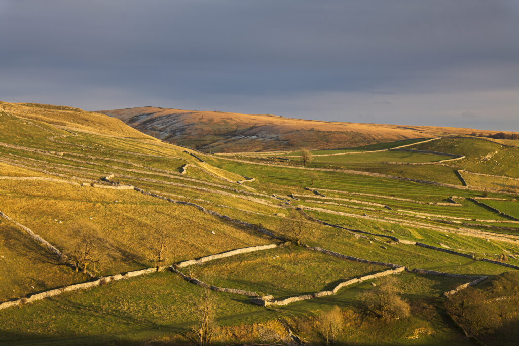England, Yorkshire, Yorkshire Dales National Park. Last light illuminates traditional dry stone walls and fields near Malham Cove in the Yorkshire Dales National Park