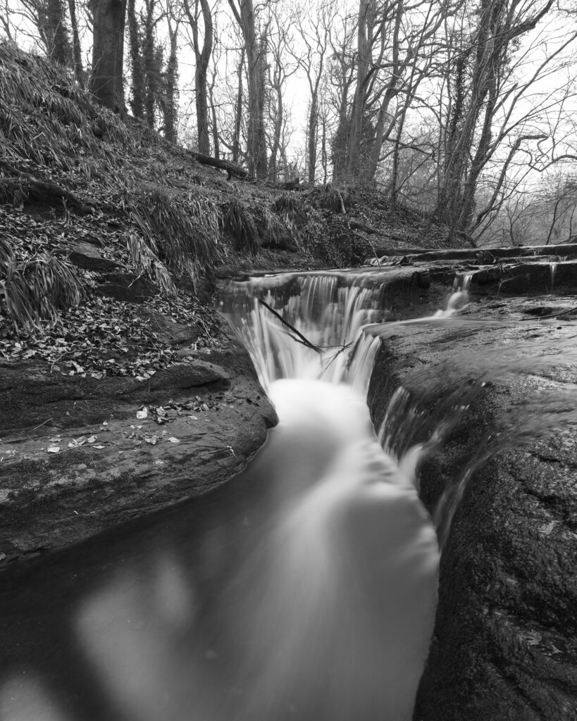 England, Northumberland, Holywell Dene. The Seaton Burn flowing through Holywell Dene.