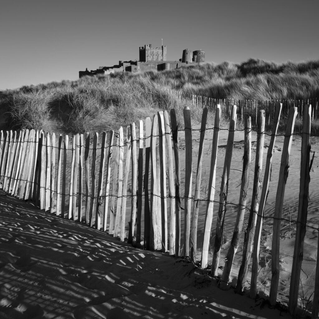 England Northumberland Bamburgh Castle. Fence protecting the sand dunes and vegetation near Bamburgh Castle