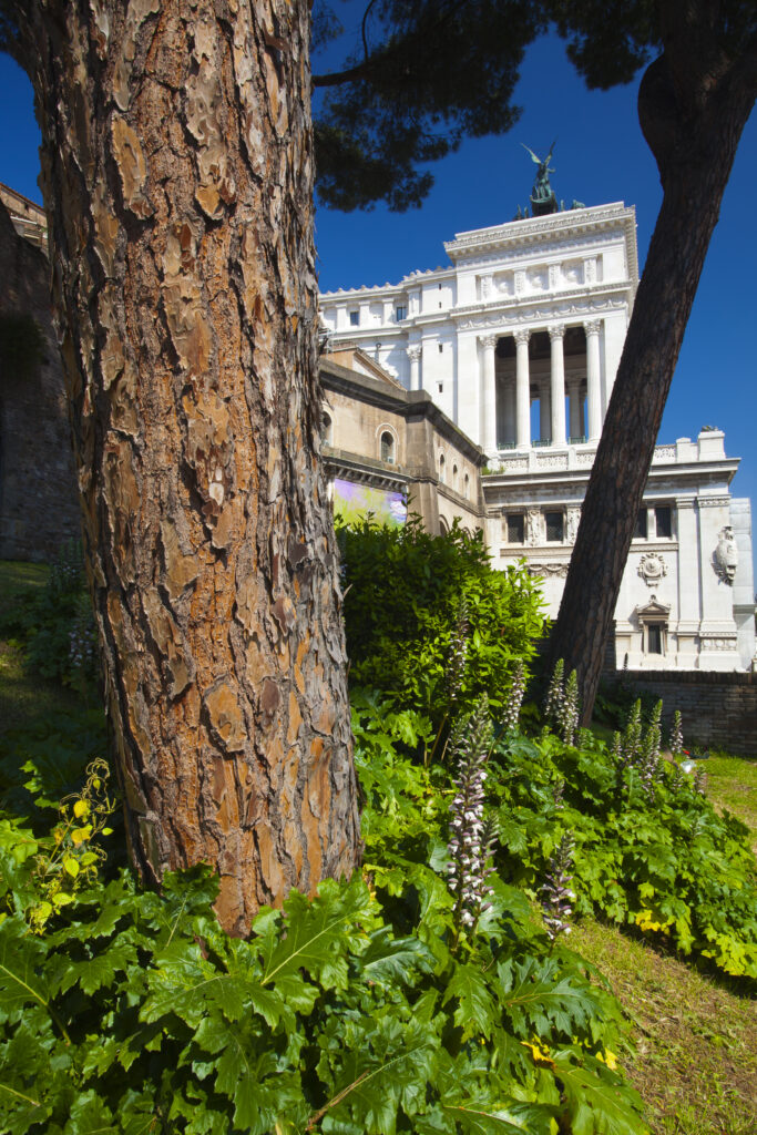 Italy, Lazio, Rome. Gardens near the Monumento Nazionale a Vittorio Emanuele II (National Monument of Victor Emmanuel II).