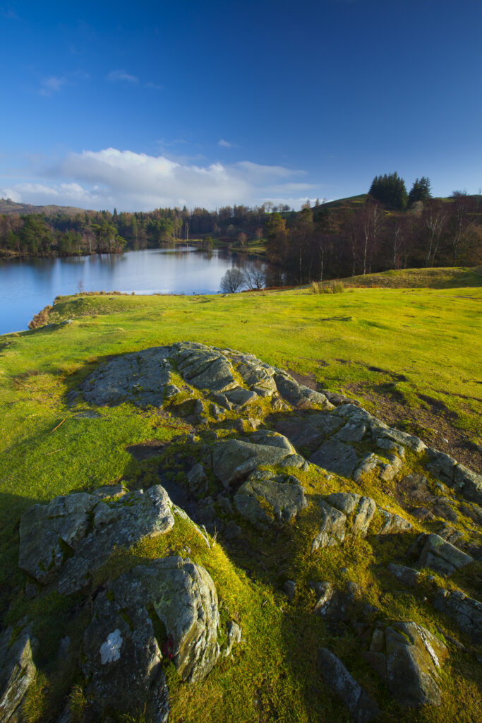 England, Cumbria, The Lake District. Tarn Hows, a popular tourist destination once owned by Beatrix Potter.