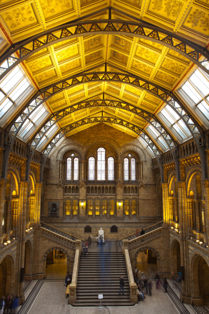 England, London, The Royal Borough of Kensington and Chelsea, Natural History Museum. The impressive architecture of the main hall of the Natural History Museum, London.