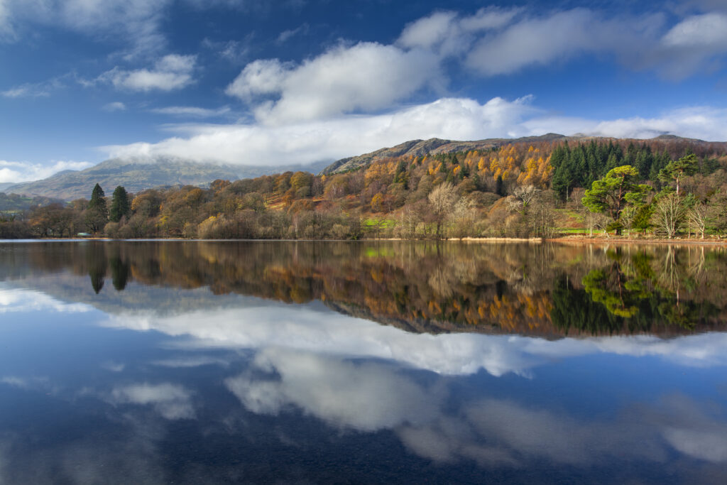England, Cumbria, Lake District National Park. Lakeland hills reflected upon the still face of Coniston Water.