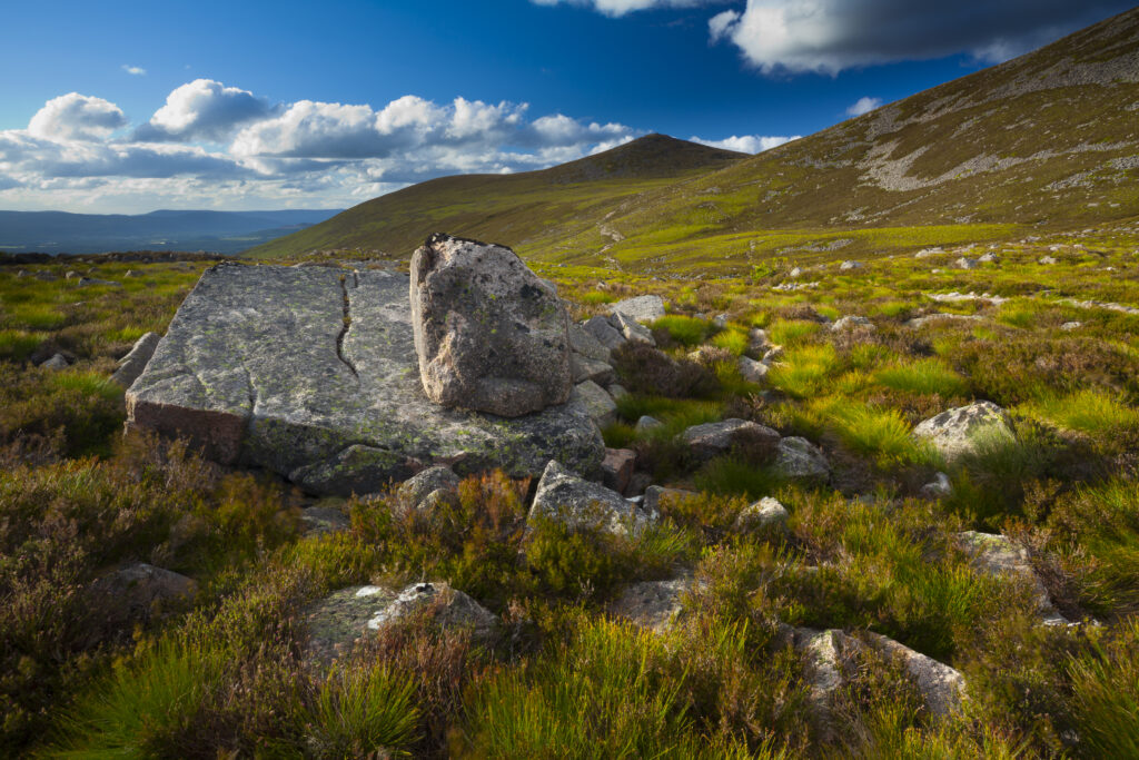 Scotland, Scottish Highlands, Cairngorms National Park. Scattered rocks on the foothills of Lurchers Crag looking towards Castle Hill.