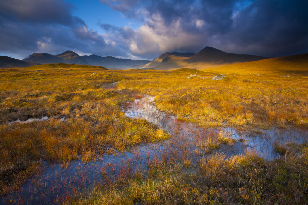 Scotland, Scottish Highlands, Rannoch Moor. Early morning sun on Rannoch Moor with the dominating peak of the Black Mount in the distance.