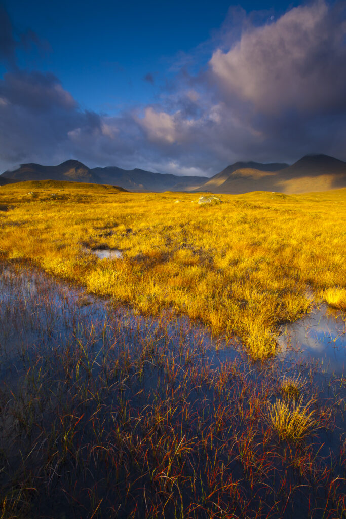 Scotland, Scottish Highlands, Rannoch Moor. Early morning sun on Rannoch Moor with the dominating peak of the Black Mount in the distance.