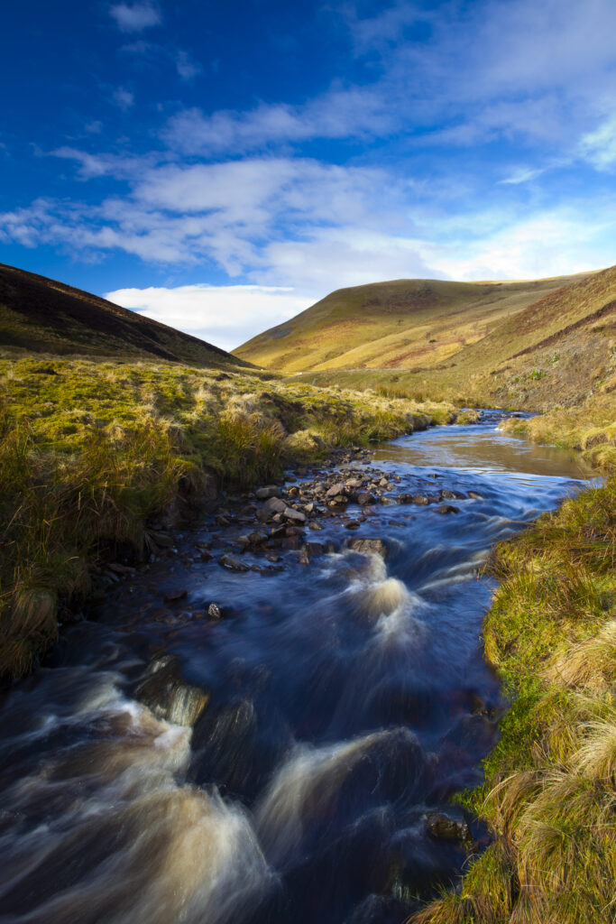 England, Northumberland, Northumberland National Park. Buckhams's Walls Burn, a mountain stream running from the Cheviot Hills to the River Coquet in the valley of Coquetdale.