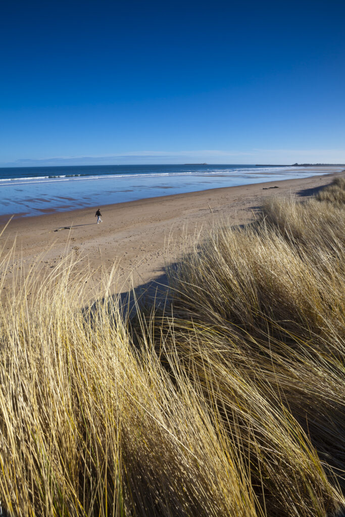 England, Northumberland, Warkworth. Looking from the sand dunes at Warkworth towards the beach and the North-Sea.
