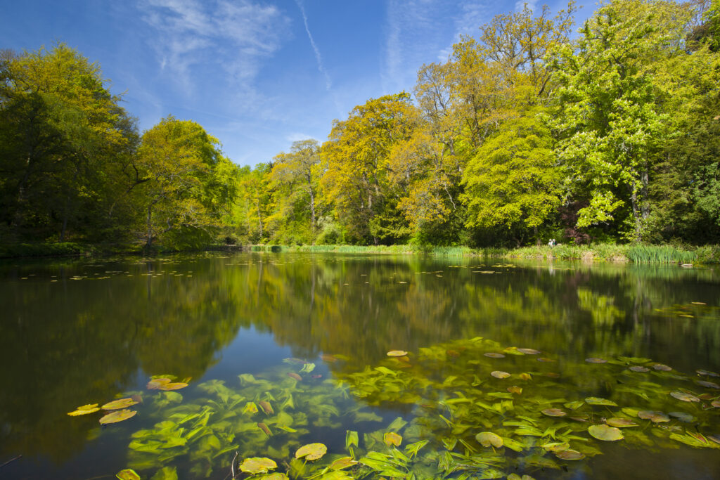 England. Northumberland, Wallington Hall. Pond / Lake in the gardens of Wallington Hall, a National Trust property located in the north of England.