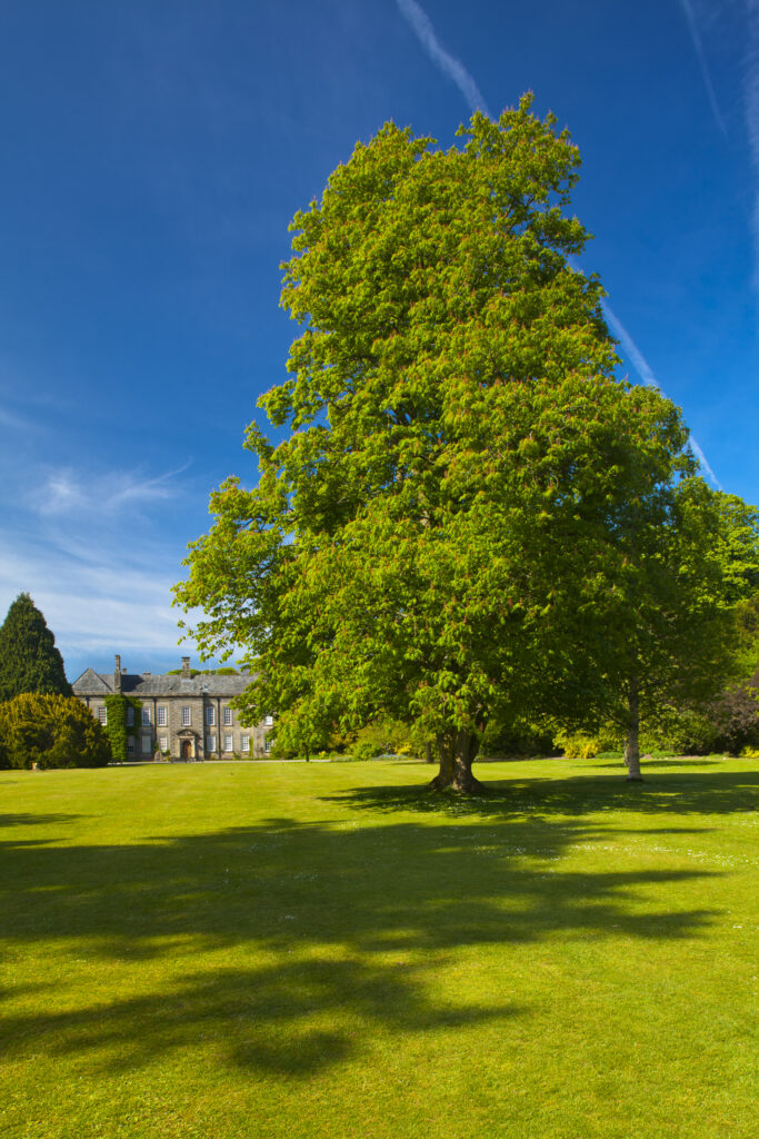 England. Northumberland, Wallington Hall. The gardens of Wallington Hall, a National Trust property located in the north of England.