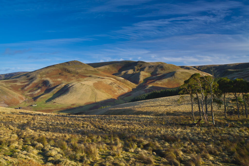 England, Northumberland, Northumberland National Park. Lamb Hill in the Cheviot Hills, part of the Northumberland National Park, viewed from Dere Street in the Scottish Borders