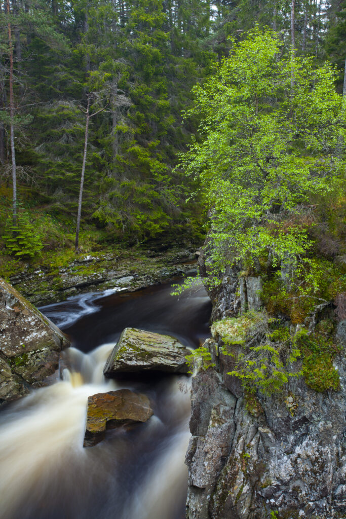 Scotland, Scottish Highlands, Laggan. Waterfalls on the River Pattack near Loch Laggan.