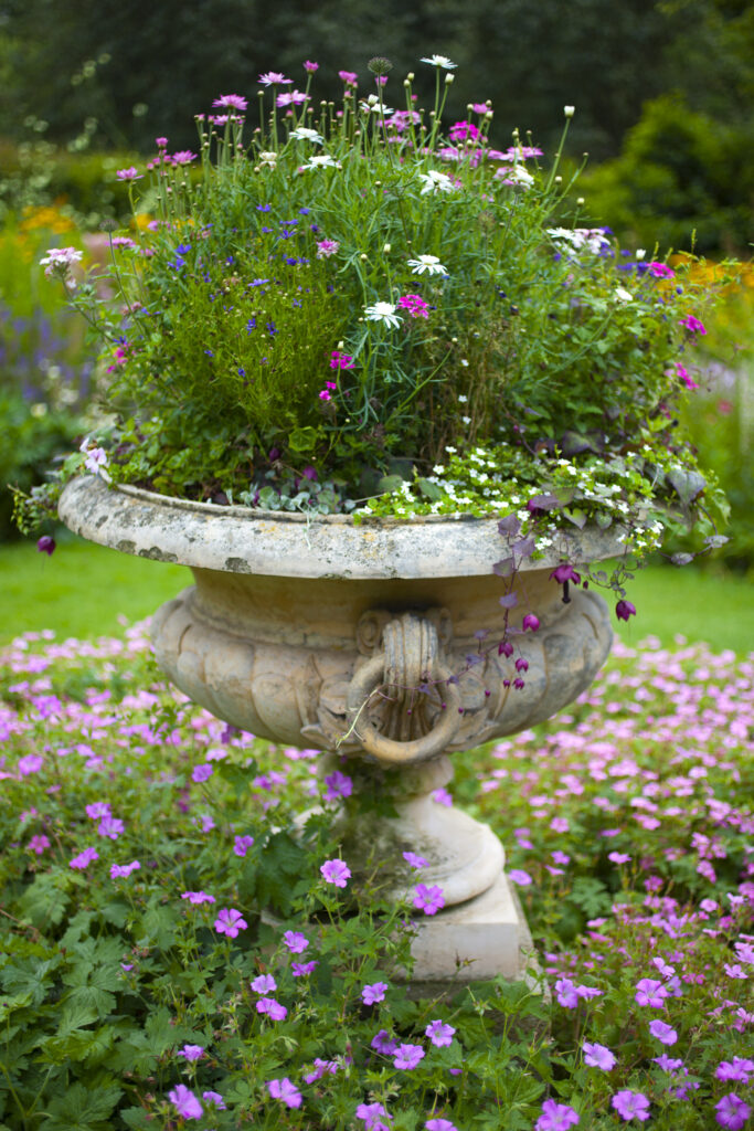 England, Northumberland, Wallington Hall and Walled Gardens. Stone flowerpot with an arrangement of flowering plants in the walled garden.