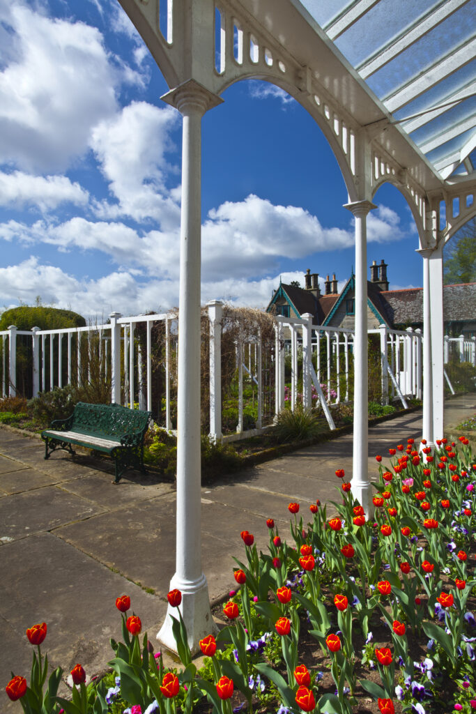 England, Northumberland, Rothbury. Flowering Tulips in a green house / summer house in the Cragside Estate (National Trust) formal garden.